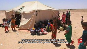 Hindari Perang, Warga Sipil Melarikan Diri dari Fallujah