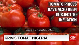 Krisis Tomat Nigeria