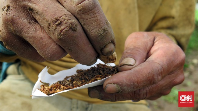 Rokok tak hanya menjadi salah satu penyumbang terbesar kemiskinan. Komoditas ini pun membuat sebagian pundi-pundi harta sejumlah taipan lebih gendut.