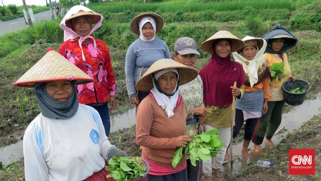 Panjangnya rantai perdagangan tembakau membuat petani tidak mendapat keuntungan sebanding dengan modal yang dikeluarkan karena tingginya harga di tengkulak.