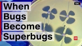 Antibiotik Bisa Ubah Bakteri Jadi Bakteri Super