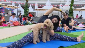 Serunya Melakukan Yoga dengan Hewan Peliharaan