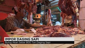 Jelang Ramadan, Pemerintah Keluarkan Izin Impor Daging