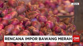 Rencana Impor Bawang Merah