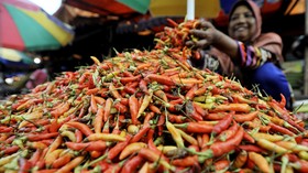 Harga Cabai Melonjak, Pemerintah Salahkan Hujan
