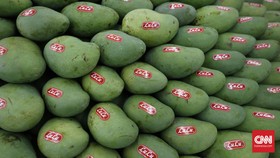 Apakah Kulit Mangga Bisa Dimakan?