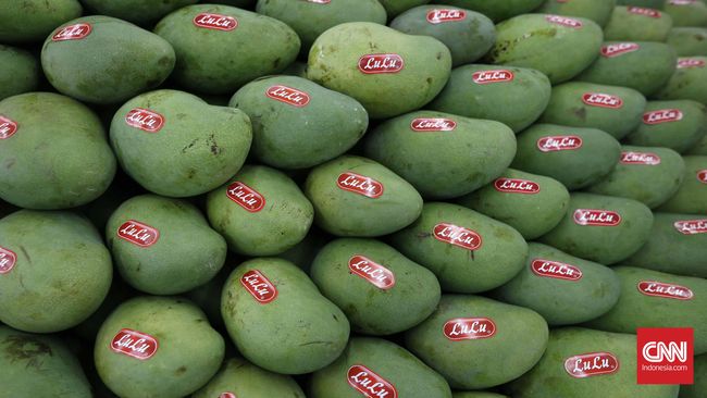 Panen Mangga Berlimpah Malah Bikin Pusing Petani Filipina