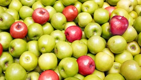 Alasan Sehat Konsumsi Bagian Tengah Buah Apel