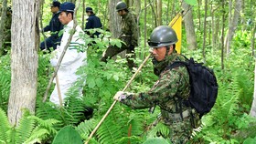 Ditinggal di Hutan karena Nakal, Bocah Jepang Ditemukan