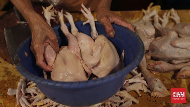 Indonesia menargetkan ekspor 1.000 ton daging ayam senilai Rp40 miliar ke Singapura hingga akhir tahun ini.
