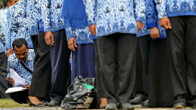 Jumlah hampir 18 ribu CPNS di 61 instansi pemerintah Indonesia ternyata masih cukup 'kecil' jika dibanding negara-negara lainnya.