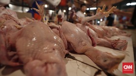 Kemendag Sebut Impor Daging Ayam Hanya Tinggal Tunggu Waktu