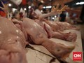 Kemendag Sebut Impor Daging Ayam Hanya Tinggal Tunggu Waktu