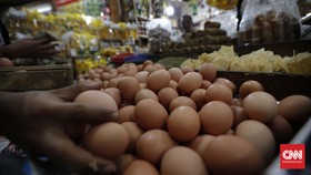 Marak Isu Telur Palsu, Dinas Pangan DKI Pastikan Jakarta Aman