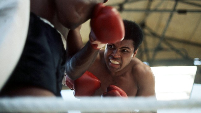 Mungkin tak akan ada Muhammad Ali dalam olahraga tinju dunia seandainya pada Oktober 1954 sepeda miliknya tak dicuri orang.