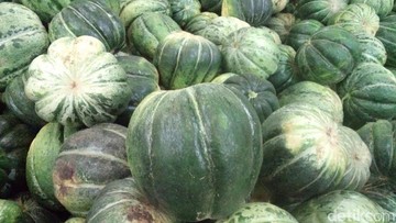 7 Jenis Buah Hidroponik yang Cocok untuk Pemula dan Mudah Ditanam