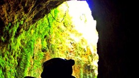 Destinasi Jelajah Gua di Gunungkidul