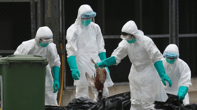 Virus ebola, herpes, flu burung, hingga rabies menjadi contoh beberapa virus mematikan di dunia. Angka tingkat kematian di setiap virus berbeda-beda.