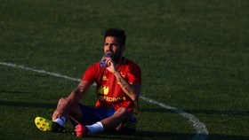 Fabregas: Spanyol Masih Haus Gelar Juara Eropa