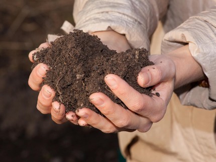 Bunda Perlu Tahu, Sederet Manfaat Berkebun bagi si Kecil