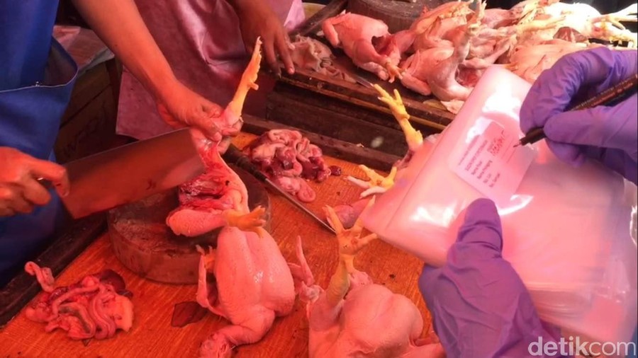 Petugas temukan ayam tiren