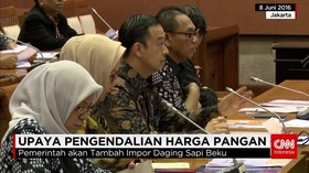 Upaya Pemerintah Kendalikan Harga Pangan