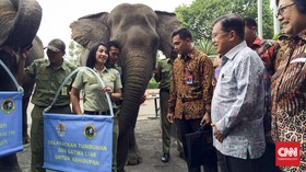 Buka Pekan Lingkungan Hidup, JK Disambut Dua Gajah