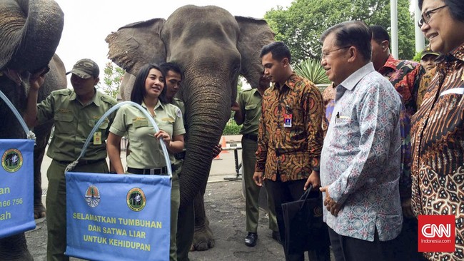 Dua gajah dihadirkan sesuai dengan tema Pekan Lingkungan Hidup dan Kehutanan tahun ini "Selamatkan Tumbuhan dan Satwa Liar untuk Kehidupan".