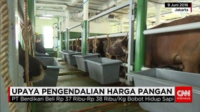 Upaya Pengendalian Harga Pangan