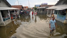 Banjir Rob di Muara Gembong Bekasi Rendam 2.250 KK