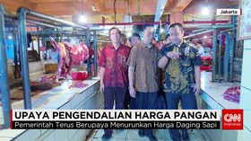 Upaya Pemerintah Menurunkan Harga Daging Sapi
