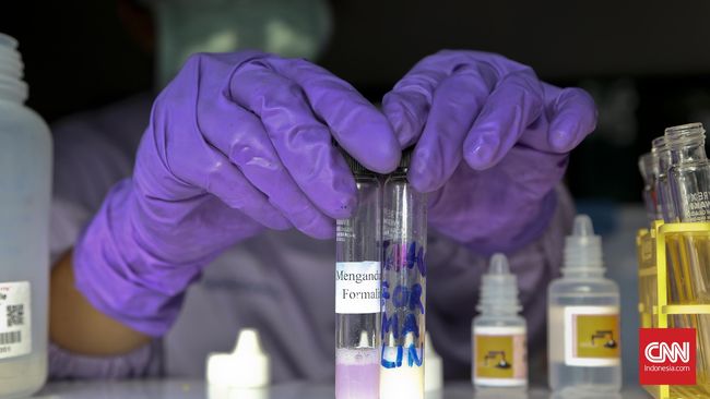 Badan Pengawas Obat dan Makanan (BPOM) mengkonfirmasi kedua produk tersebut mengandung DNA babi sehingga harus ditarik dari peredaran.