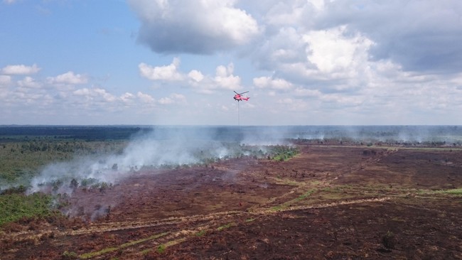 Sinar Mas akan memberikan Rp200 juta - Rp270 juta per desa untuk 80 desa yang membantu program pencegahan dan penanggulangan kebakaran hutan.