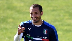 Zlatan Sesumbar Menang Adu Jotos Lawan Chiellini
