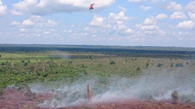 Pemerintah juga berhak merekomendasikan pencabutan izin usaha pihak swasta yang mengulangi kesalahan atau membiarkan persoalan hutan.