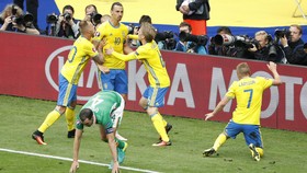 Skor Kacamata Swedia Vs Irlandia dalam Jepretan Kamera