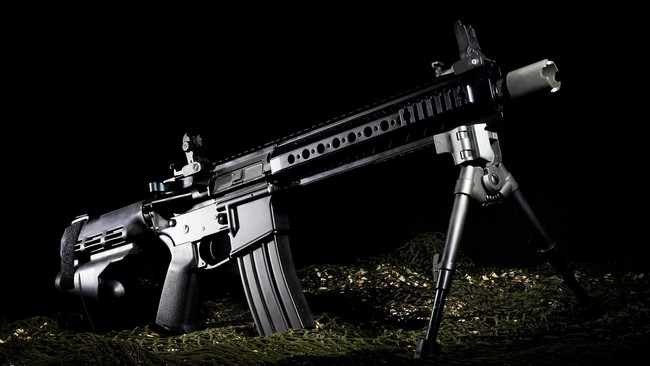AS-15 adalah senapan militer yang digunakan AS saat Perang Vietnam. Kini senjata semi-otomatis ini dijual bebas, dan kerap digunakan dalam penembakan massal.