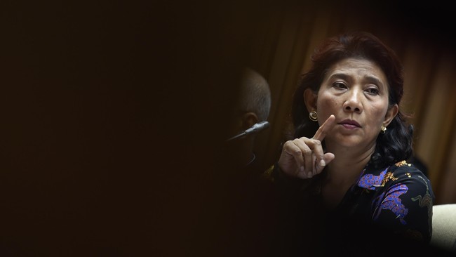 Menteri Kelautan dan Perikanan Susi Pudjiastuti menyatakan kondisi terumbu karang di Indonesia sudah mencapai tahap kritis.