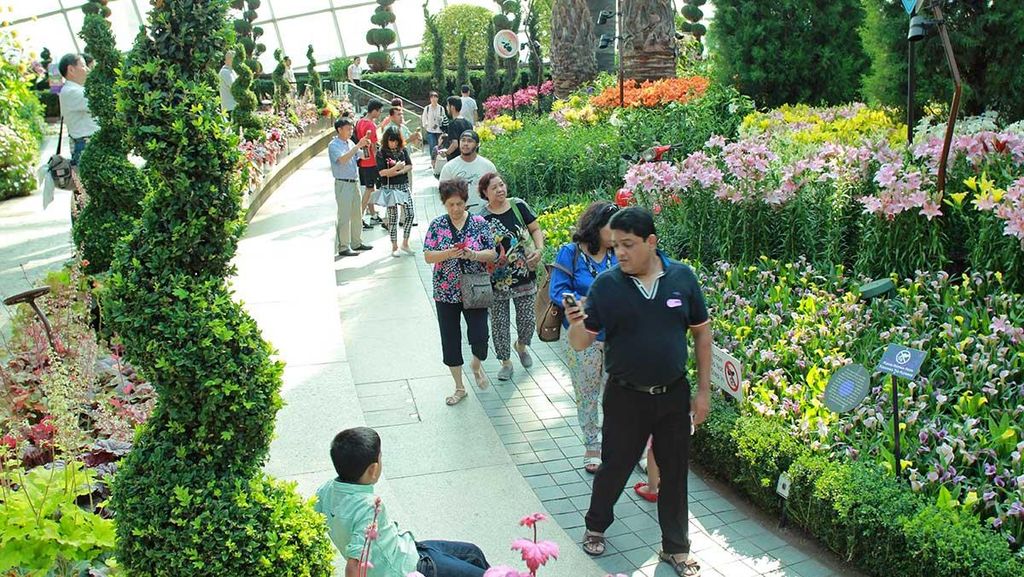 Siap-siap Sambut Wetland By The Bay, Atraksi Baru di Pesisir Singapura