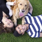 Studi: Punya Hewan Peliharaan Menjaga Otak Tetap Sehat dan 'Tajam' Seiring Bertambah Usia