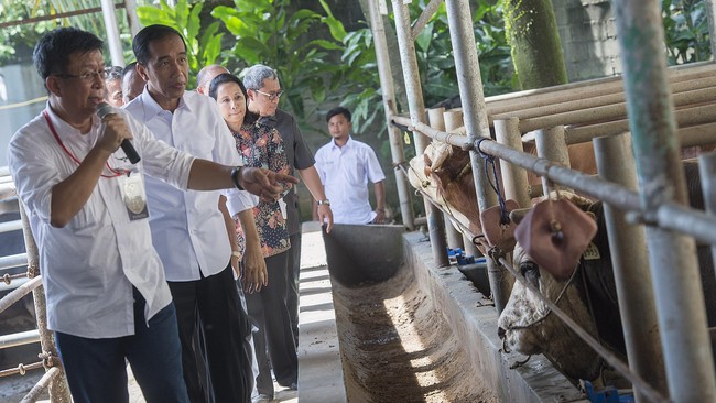 Dari hasil survei SMRC diketahui, publik juga masih menilai negatif kinerja pemerintah di bidang pengentasan kemiskinan dan mengatur harga kebutuhan pokok.