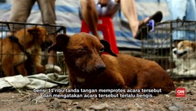 Festival Daging Anjing di China Diawasi Ketat