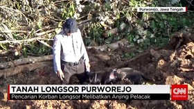 Pencarian Korban Longsor Melibatkan Anjing Pelacak