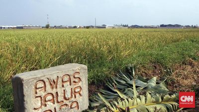 Pemerintah Bakal Atur Denda Pelanggar Alih Fungsi Lahan Sawah