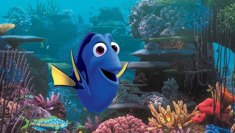 Finding Dory