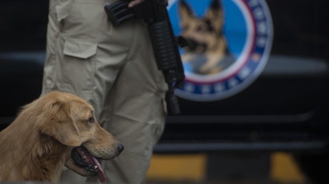 Mengantisipasi lonjakan permintaan narkoba di tahun baru, polisi mengerahkan anjing pelacak untuk mengecek bus yang hendak keluar Aceh.