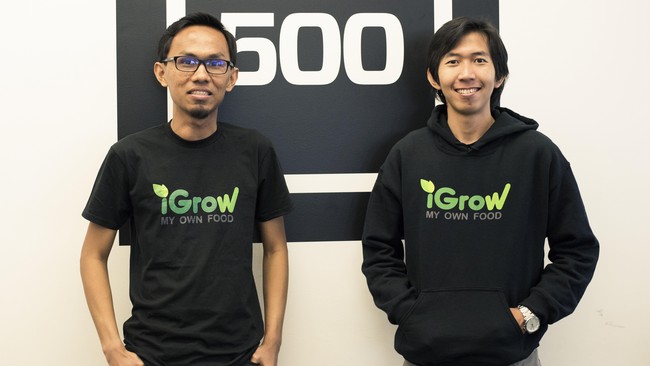 Suatu hal yang wajar bila startup berlomba-lomba menarik minat VC (capital venture) untuk menyokong pendanaan operasional mereka.