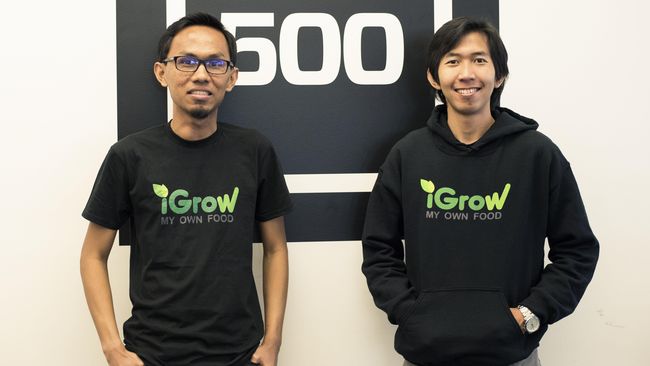 Startup Pertanian iGrow Raih Investasi dari Dua Pemodal iGrow yang digambarkan sebagai Framville dalam kehidupan nyata, akan mengembangkan lahan pertanian organik dan berencana ekspansi lahan ke Turki dan Jepang.