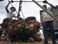 Sektor Agrikultur jadi Jawara Indeks Pasar Modal Pekan Ini