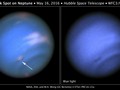Teleskop Hubble Deteksi Bintik Hitam di Planet Neptunus